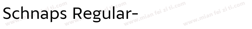 Schnaps Regular字体转换